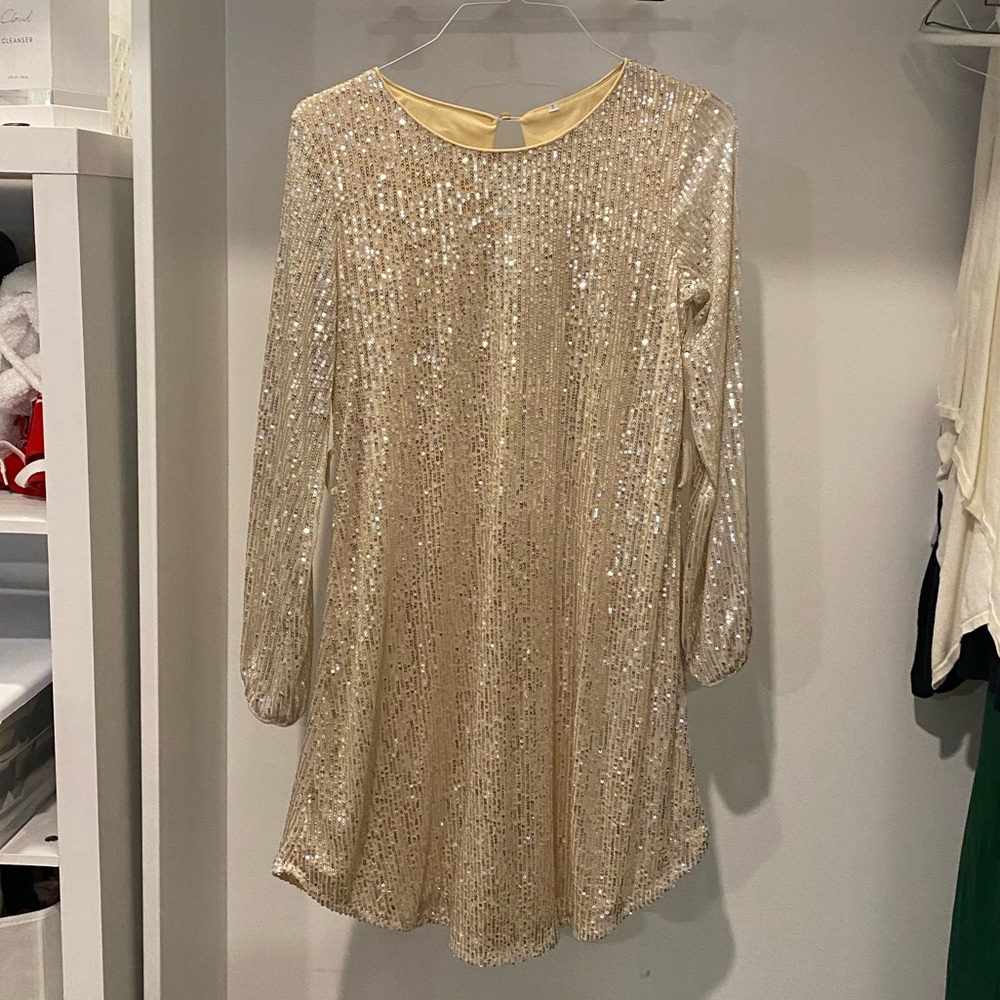 Gold sorely sequin dress